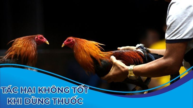 Tác hại không tốt khi dùng thuốc lậu đá gà