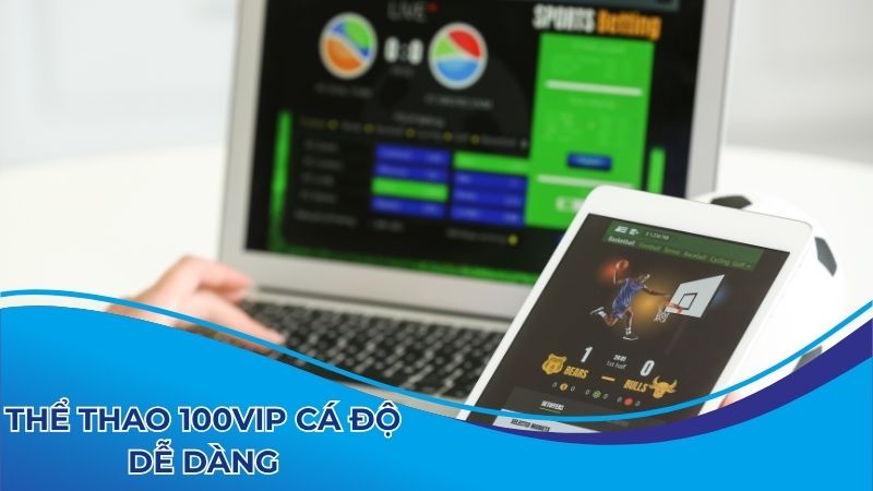 100vip giúp đỡ cá độ dễ hơn