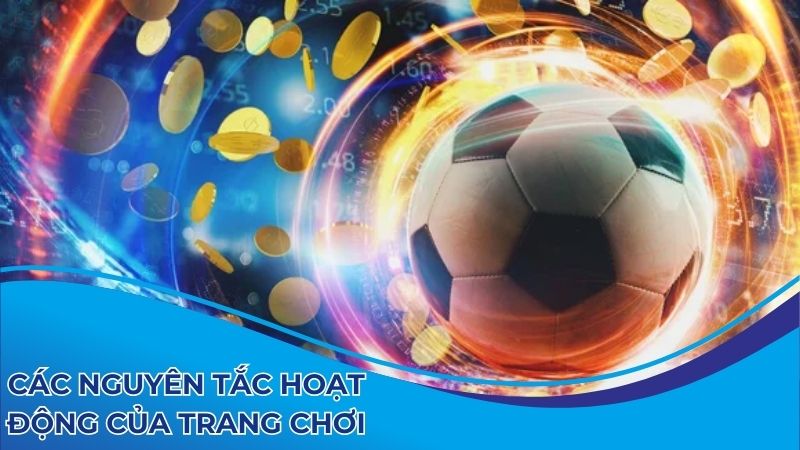 Các nguyên tắc hoạt động của trang chơi rất rõ ràng