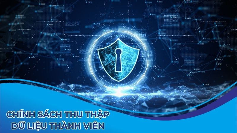 Chính sách về thu thập dữ liệu thành viên